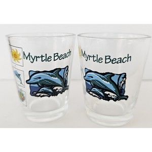 Vintage Myrtle Beach Shot Glasses Dolphins South Carolina Silk Screen Pair Set 2